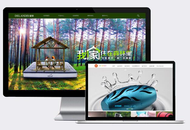 重慶網(wǎng)站開發(fā)設計哪個公司好
